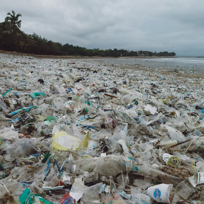 The Plastic Tide: Indonesia’s Wave of Waste.