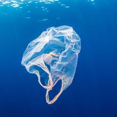Ocean Plastic: The Tale of a $24 Trillion Trash Can